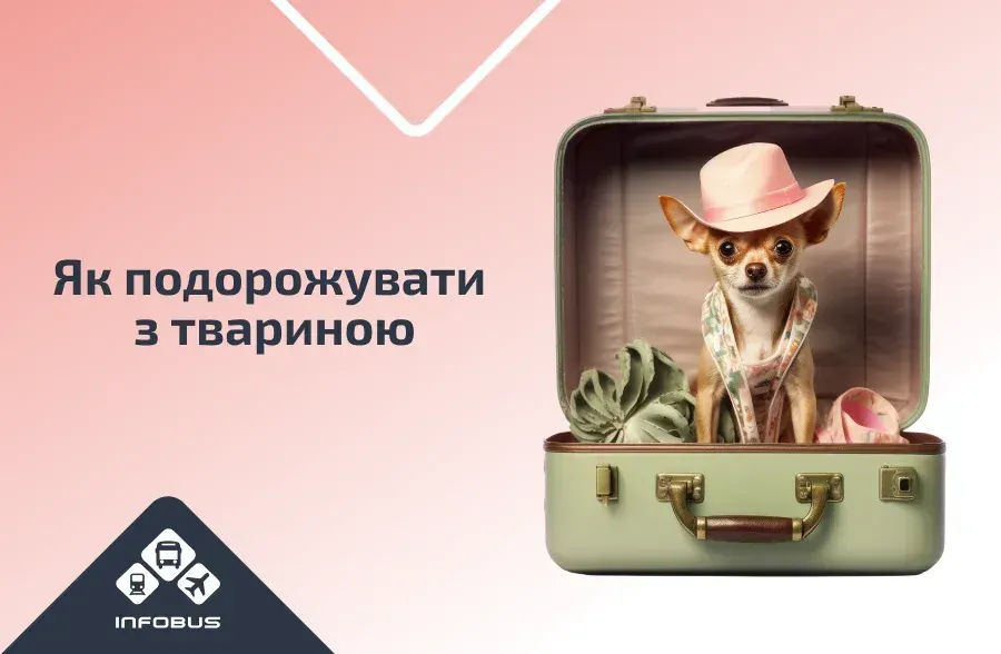 Як подорожувати з твариною